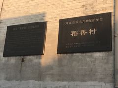 -北京稻香村(莲池店)