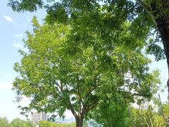 -杭州城北体育公园