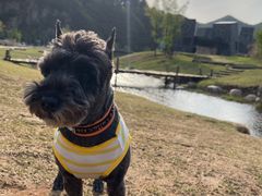 -老三羊汤【北兴隆街店】