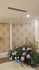 -东方美美容SPA会所