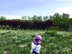 -永定河休闲森林公园