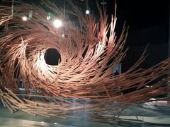 android_upload_pic-溱湖国家湿地公园