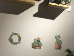 -东方名猫馆·英短金渐层布偶猫舍(环线广场1号楼店)