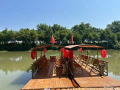 -合肥滨湖国家森林公园