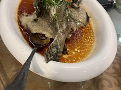 -永記粤菜·五指毛桃花雕鸡煲(九亭店)