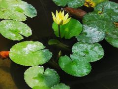 -兰亭风景区