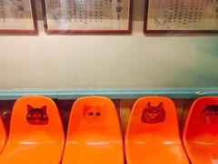 -猫咪博物馆(顶澳仔猫街店)