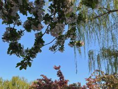 -海棠花溪(元大都城垣遗址公园)