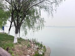 -阳澄湖费尔蒙酒店