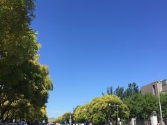 -中央戏剧学院(昌平校区)