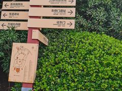 -合肥三国新城遗址公园