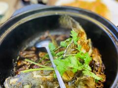 -鑫鸿达·海鲜闽菜热炒小馆(中山路店)