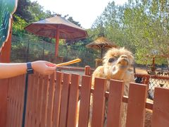 -大连森林动物园