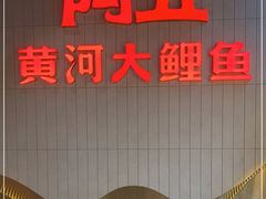 -阿五黄河大鲤鱼(海尚店)