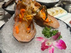 -海月轩海鲜豆捞(紫金塔店)