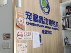 -宠福鑫康馨动物医院·骨科·眼科