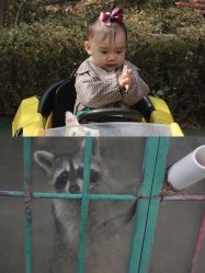 -萌宠亲子动物乐园(槐房万达店)