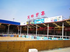 -中环花鸟鱼虫市场