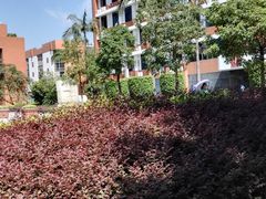 -福建中医药大学附属第二人民医院(本部)