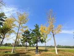 -汉长安城未央宫国家考古遗址公园