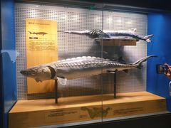 -青岛海底世界-水族馆