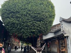 -三坊七巷历史文化街区