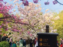 -正兴广场(人民中路店)