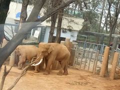 -昆明动物园