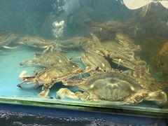 -阳光海鲜大排档