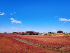 -红海滩国家风景廊道