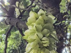 -天鹿湖森林公园