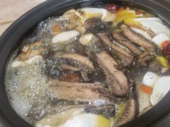 -蘑统田下·野生菌火锅