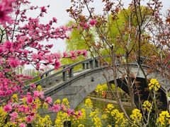 -南汇桃花村