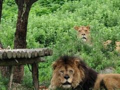 -西安秦岭野生动物园