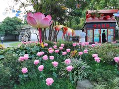 -无锡梅园公园