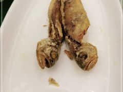 -福禄财东北菜(珠江帝景店)