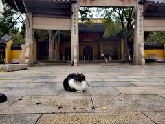 -西园戒幢律寺