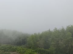 -江南天池