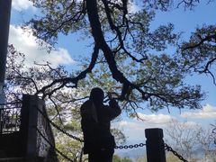 -福建泉州仙公山风景名胜区