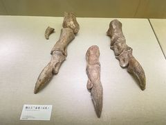 -衢州市博物馆