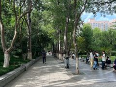 -莲湖公园