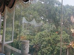 -东江渔村·古典园林·30年粤菜老字号(太和店)