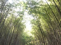 -穹窿山景区