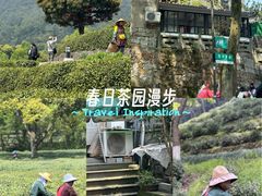 -十里琅珰