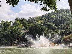 -西双版纳原始森林公园