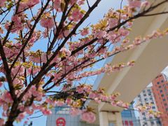 -上海旅游集散中心(万体站)