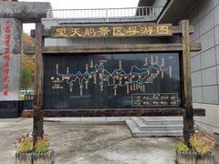 -望天鹅景区