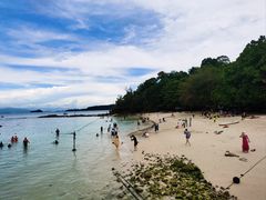 -东姑阿都拉曼海洋公园