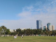 -万绿园