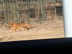-秦皇岛野生动物园